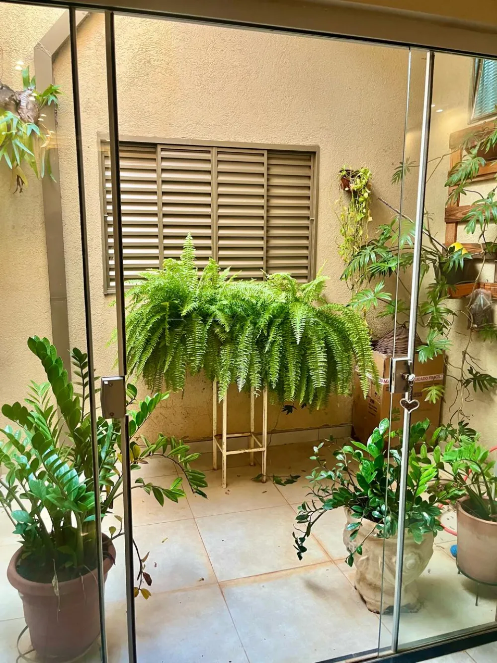 Comprar Casa / Padr&atilde;o em Ribeir&atilde;o Preto R$ 520.000,00 - Foto 8