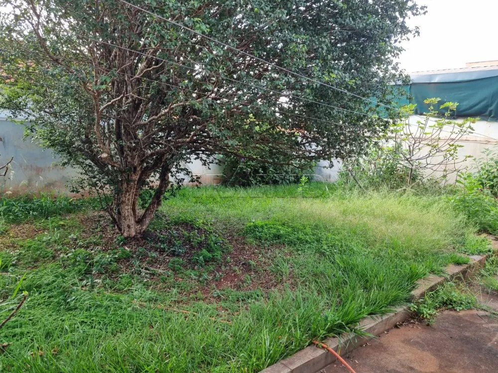 Comprar Casa / Padr&atilde;o em Ribeir&atilde;o Preto R$ 600.000,00 - Foto 20