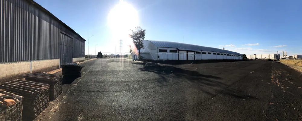 Alugar Comercial / Galp&atilde;o  Barrac&atilde;o em Ribeir&atilde;o Preto R$ 50.000,00 - Foto 1