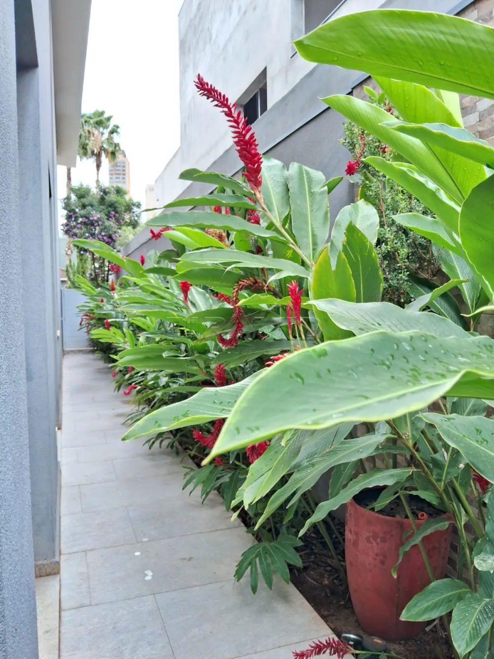 Alugar Casa / Condom&iacute;nio em Ribeir&atilde;o Preto R$ 21.000,00 - Foto 24