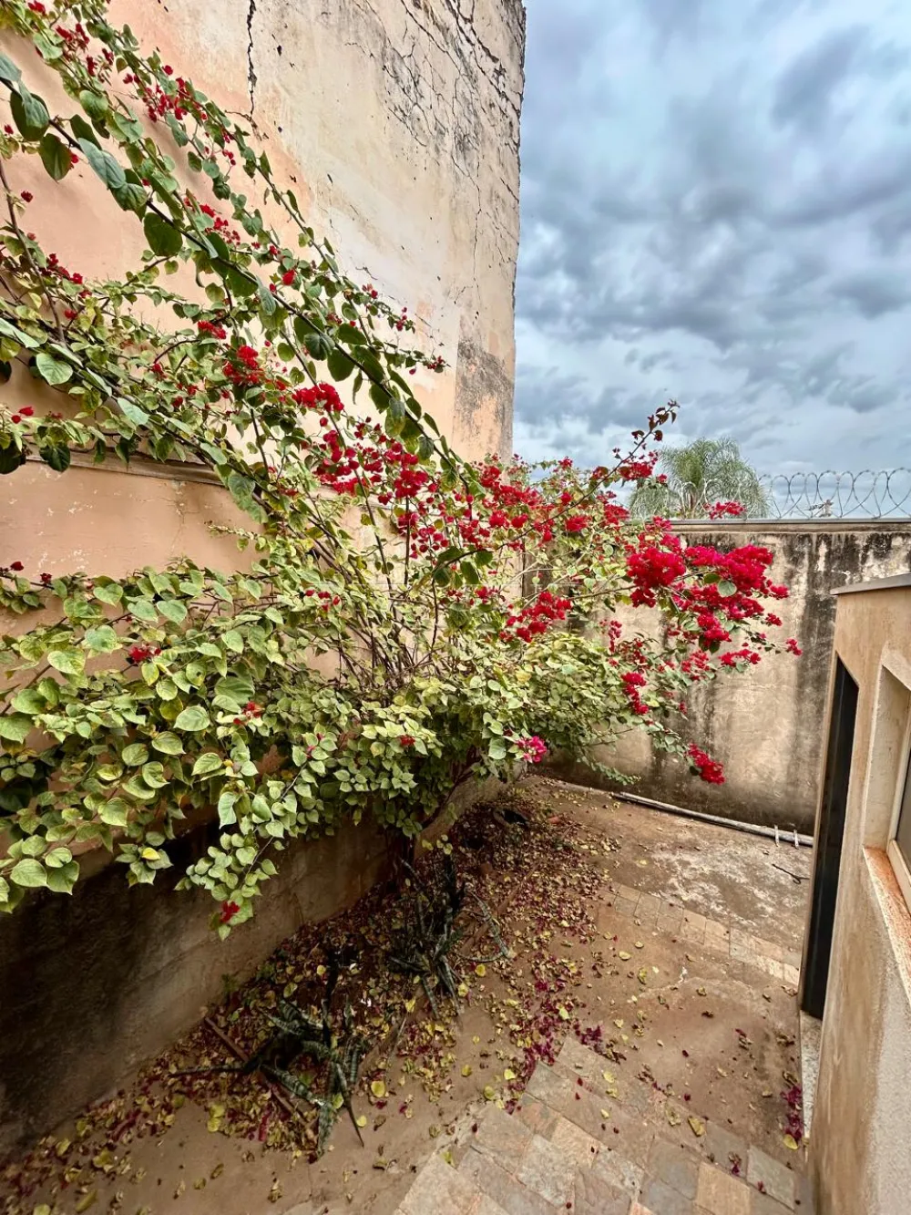 Comprar Casa / Padr&atilde;o em Ribeir&atilde;o Preto R$ 580.000,00 - Foto 28