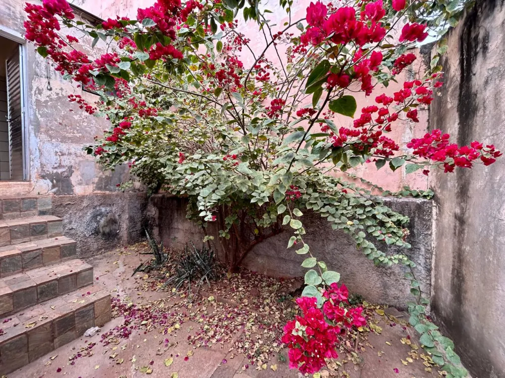 Comprar Casa / Padr&atilde;o em Ribeir&atilde;o Preto R$ 580.000,00 - Foto 29