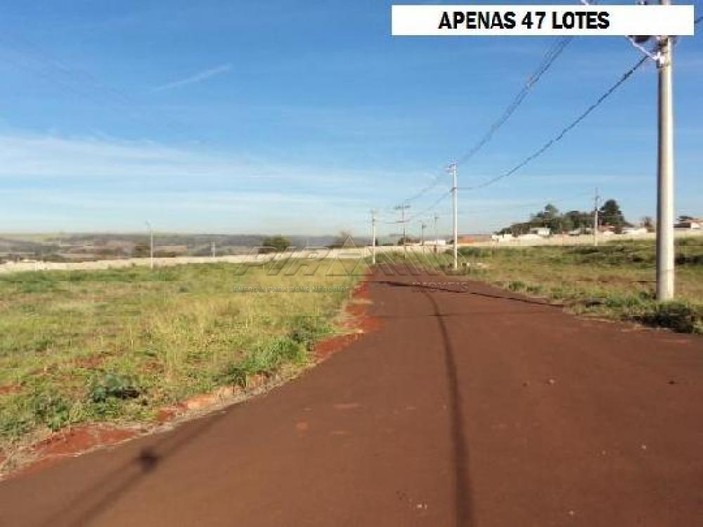 Comprar Terreno / Condom&iacute;nio em Ribeir&atilde;o Preto R$ 530.000,00 - Foto 4