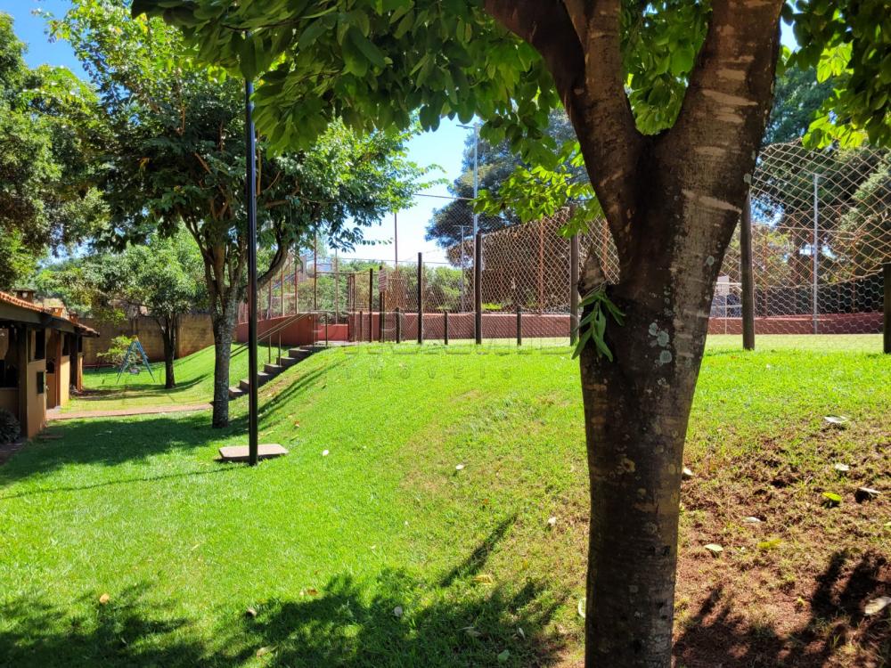 Alugar Casa / Condom&iacute;nio em Bonfim Paulista (Ribeir&atilde;o Preto) R$ 3.500,00 - Foto 24