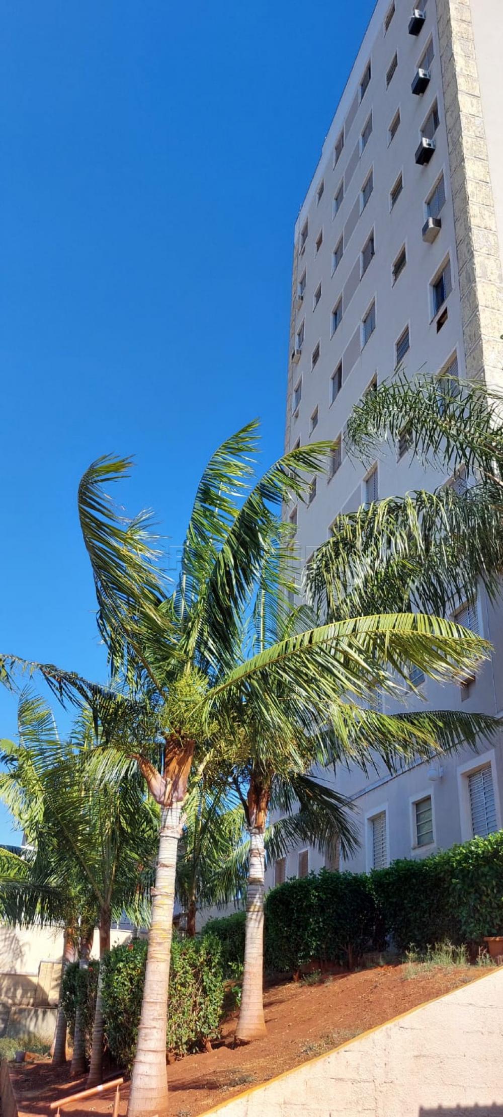 Comprar Apartamento / Padr&atilde;o em Ribeir&atilde;o Preto R$ 220.000,00 - Foto 29