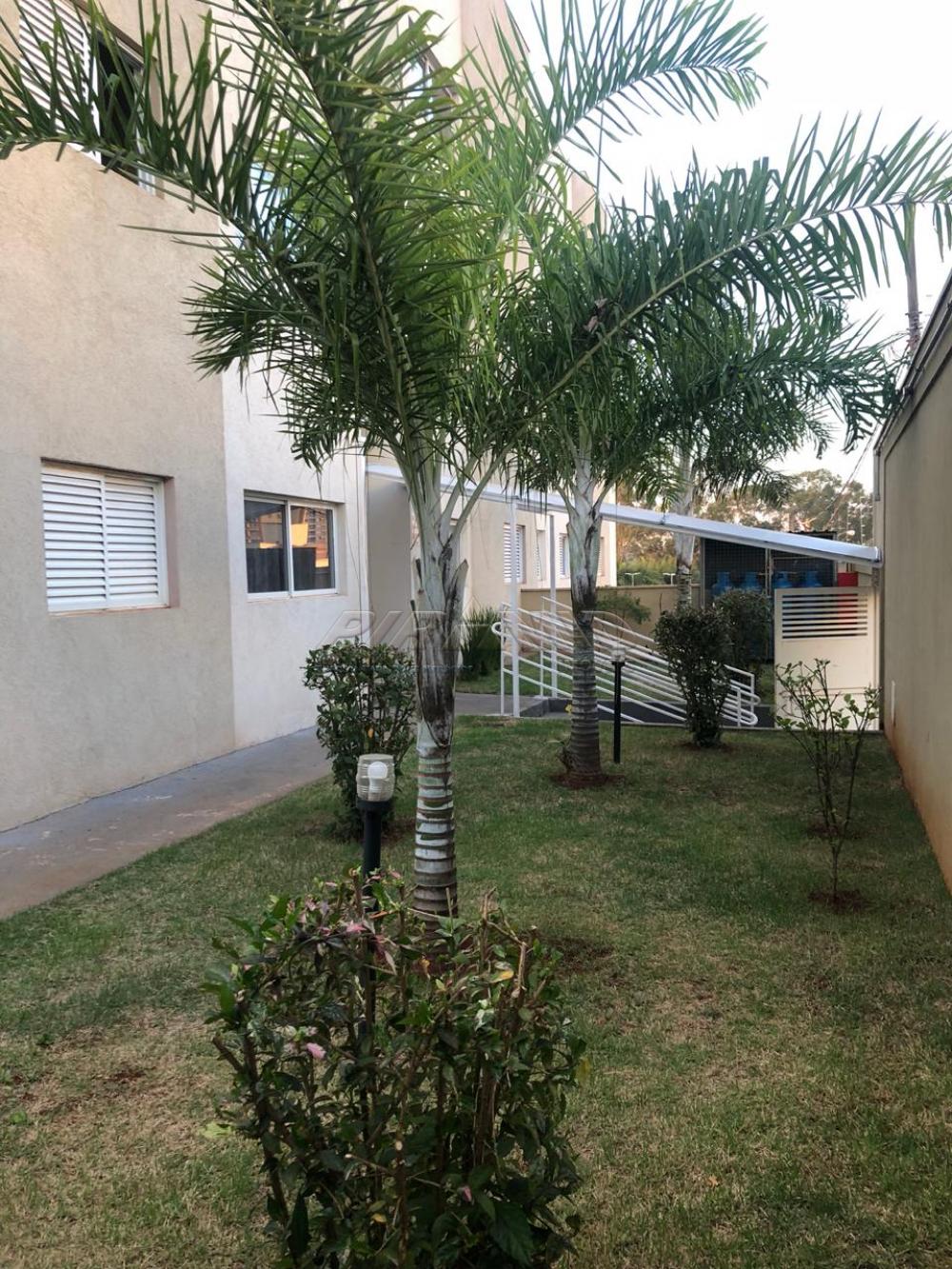 Alugar Apartamento / Padr&atilde;o em Ribeir&atilde;o Preto R$ 1.200,00 - Foto 18