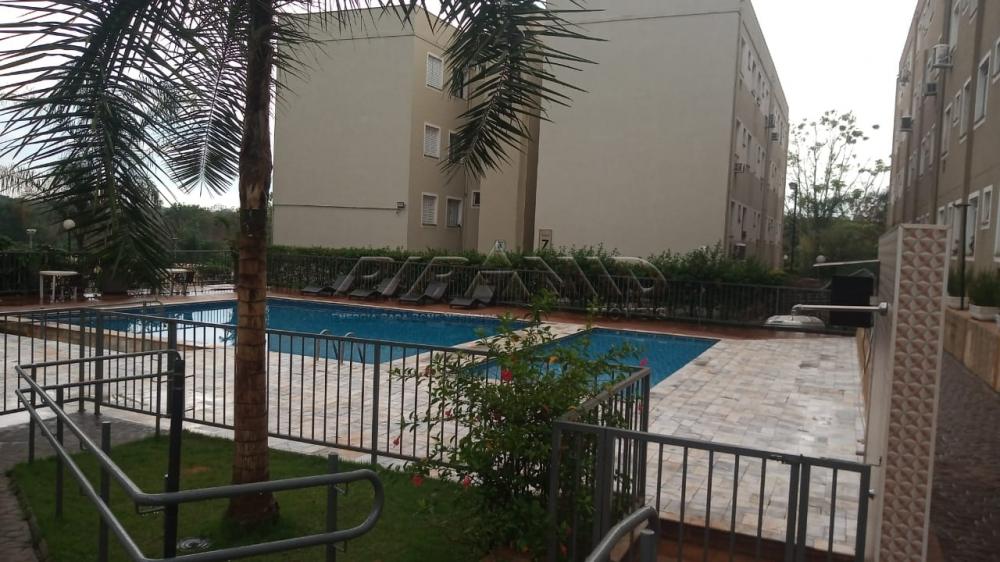 Comprar Apartamento / Padr&atilde;o em Ribeir&atilde;o Preto R$ 135.000,00 - Foto 9