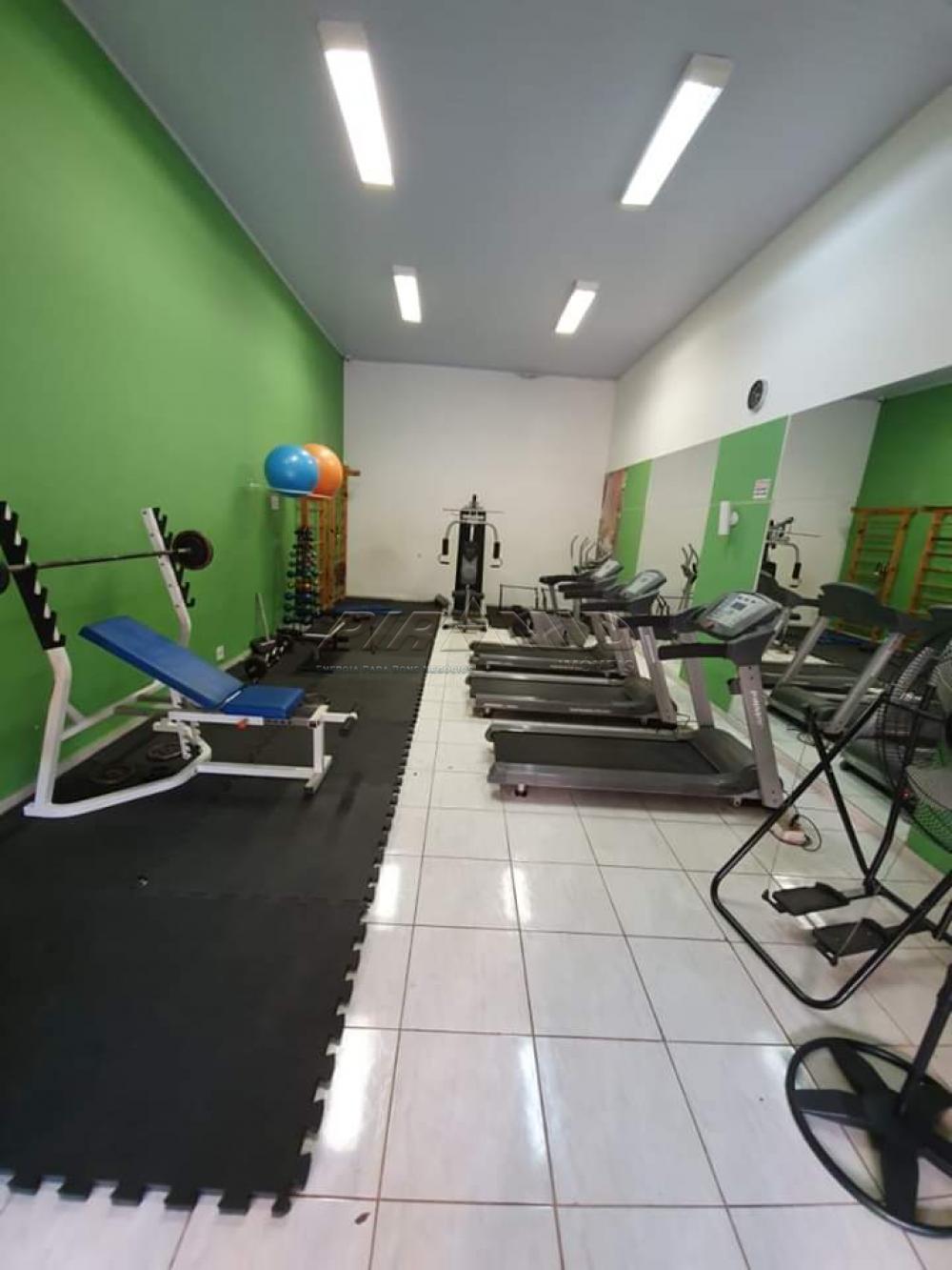 Alugar Apartamento / Padr&atilde;o em Ribeir&atilde;o Preto R$ 1.583,00 - Foto 22