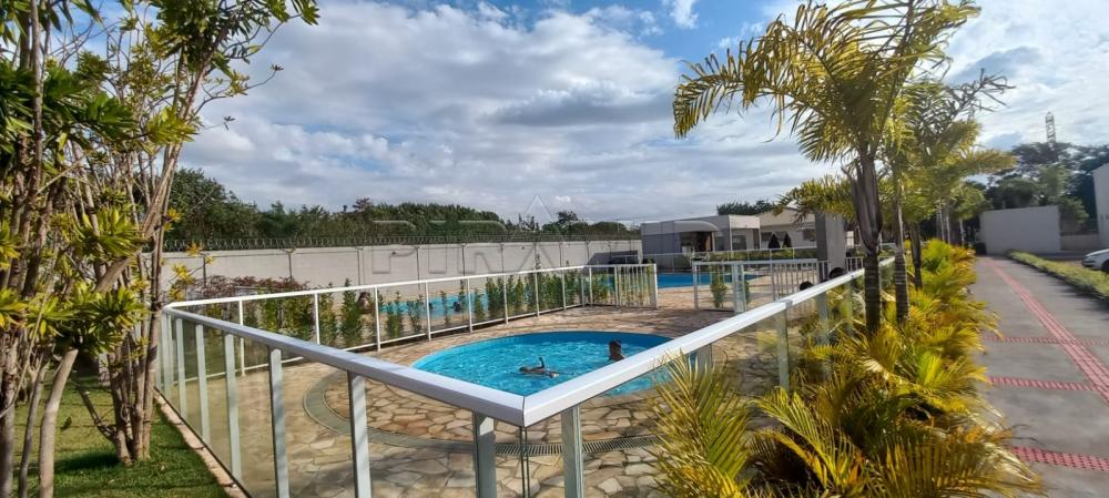 Comprar Apartamento / Padr&atilde;o em Ribeir&atilde;o Preto R$ 280.000,00 - Foto 14