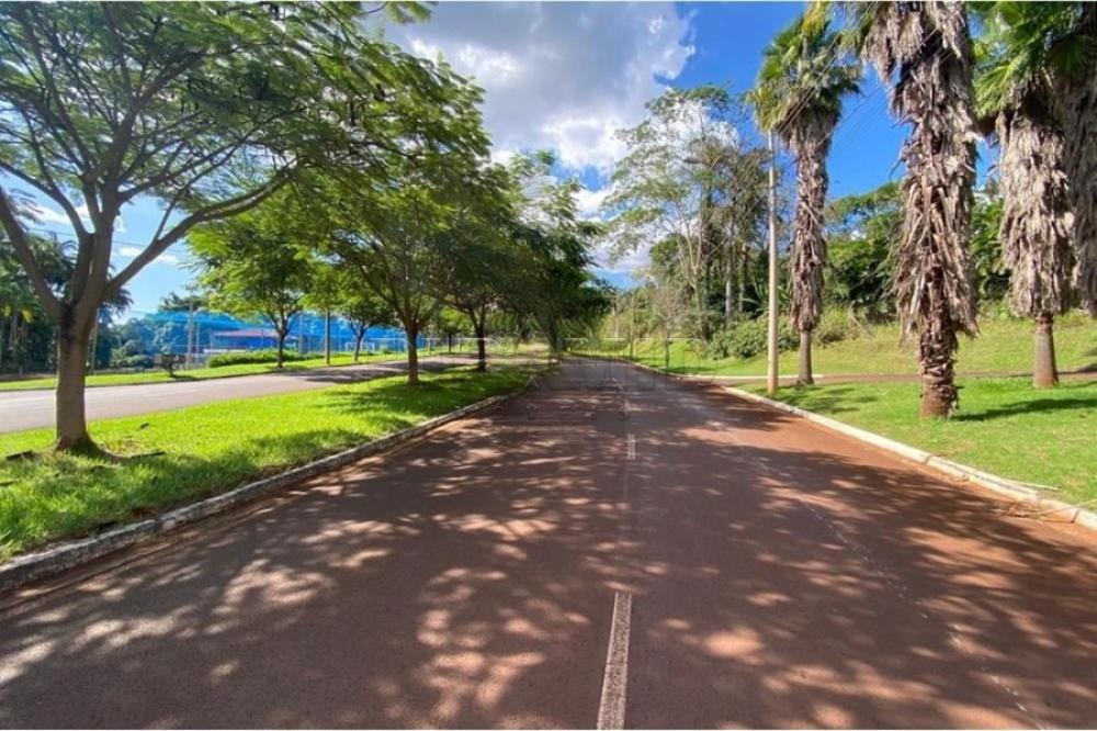 Alugar Casa / Condom&iacute;nio em Ribeir&atilde;o Preto R$ 5.900,00 - Foto 11