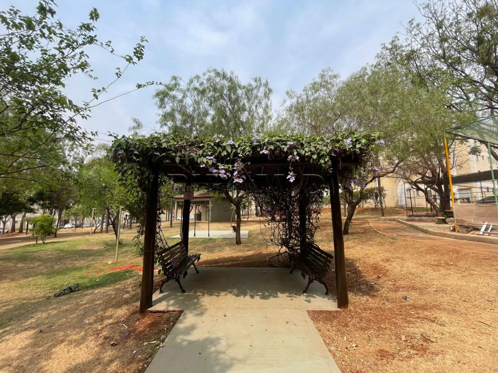 Alugar Apartamento / Padr&atilde;o em Ribeir&atilde;o Preto R$ 2.500,00 - Foto 34