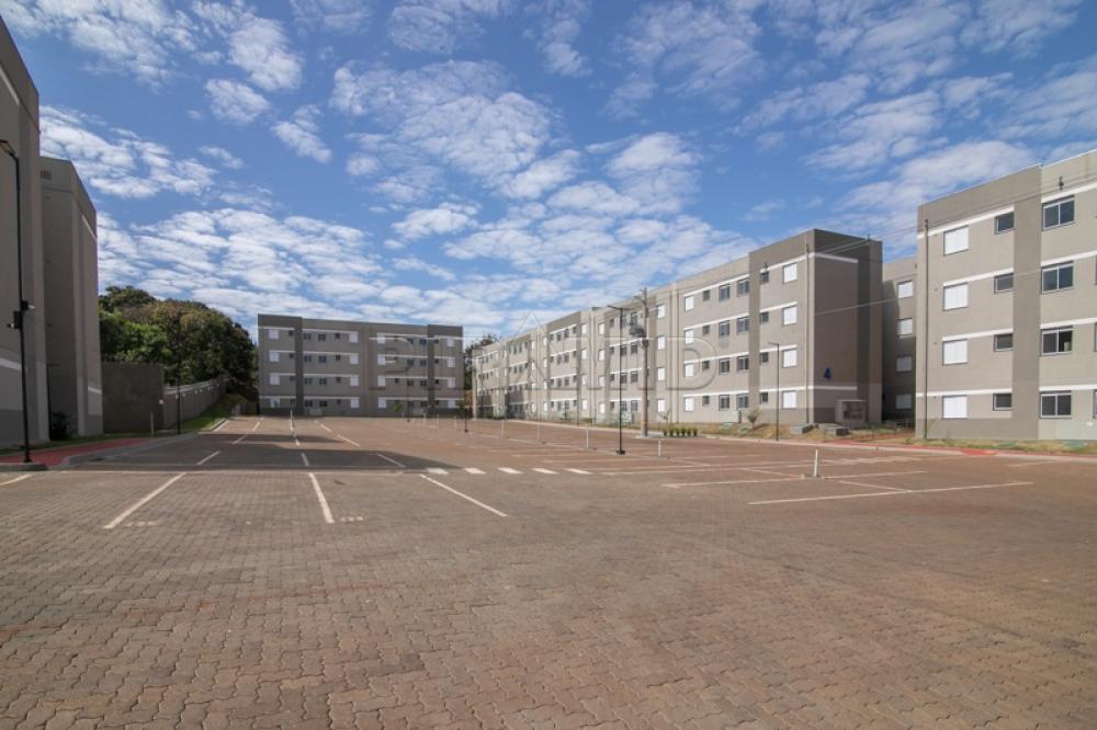 Alugar Apartamento / Padr&atilde;o em Ribeir&atilde;o Preto R$ 1.250,00 - Foto 11