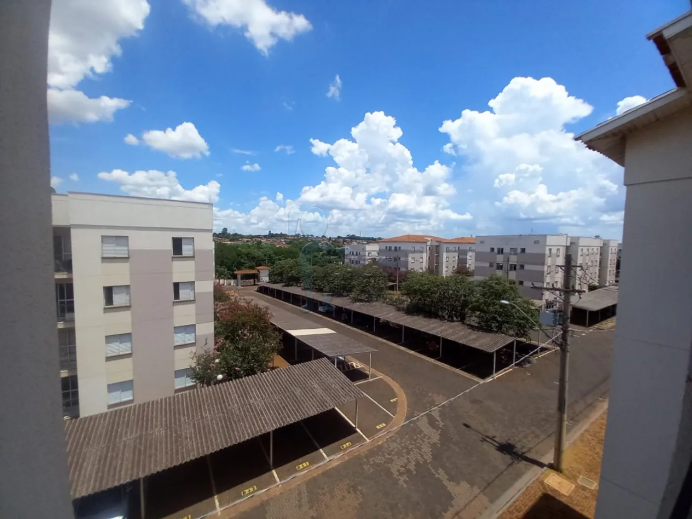 Alugar Apartamento / Padr&atilde;o em Ribeir&atilde;o Preto R$ 1.300,00 - Foto 13