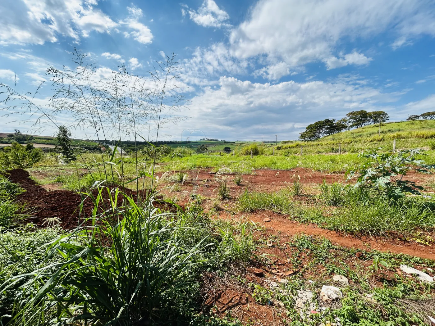 Comprar Terreno / Padr&atilde;o em Bonfim Paulista R$ 320.000,00 - Foto 3