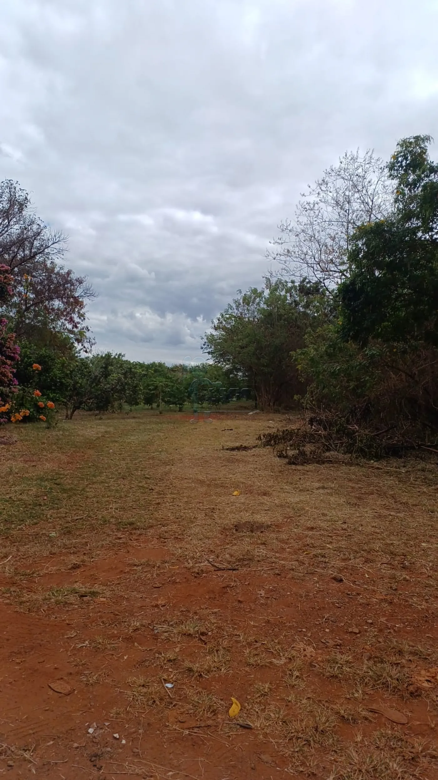 Comprar Terreno / Padr&atilde;o em Ribeir&atilde;o Preto R$ 420.000,00 - Foto 1