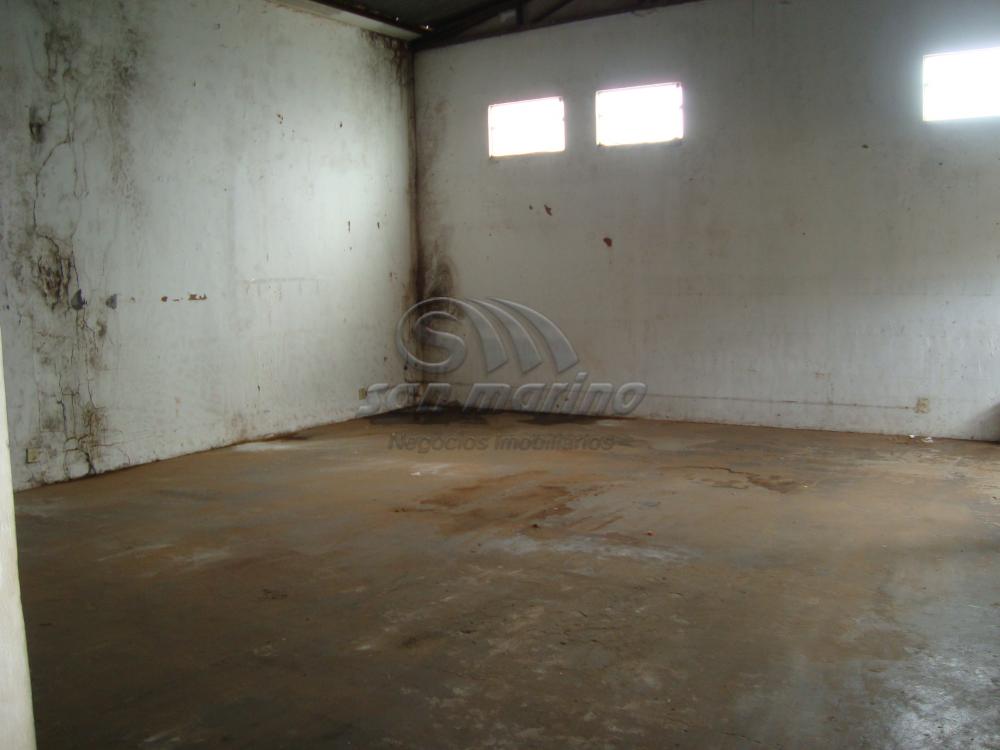 Comerciais / Salão em Jaboticabal - foto 4