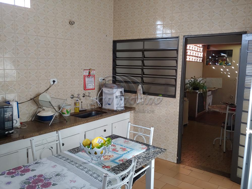 Casas / Padrão em Jaboticabal - foto 4