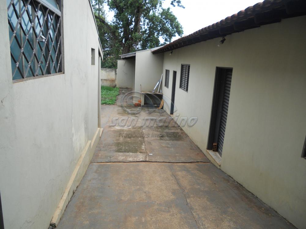 Casas / Comercial em Jaboticabal - foto 2