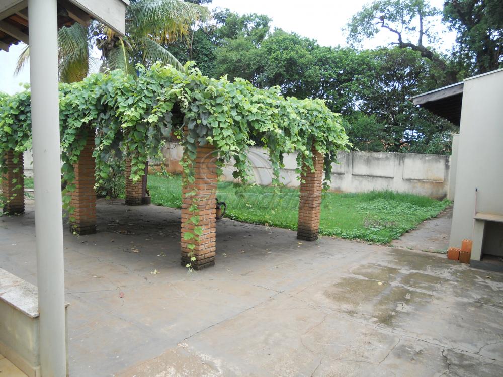 Casas / Comercial em Jaboticabal - foto 3