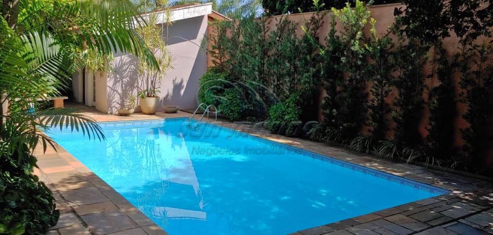 Casas / Padrão em Jaboticabal - foto 5