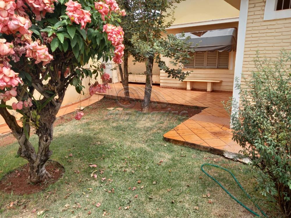 Casas / Padrão em Jaboticabal - foto 4