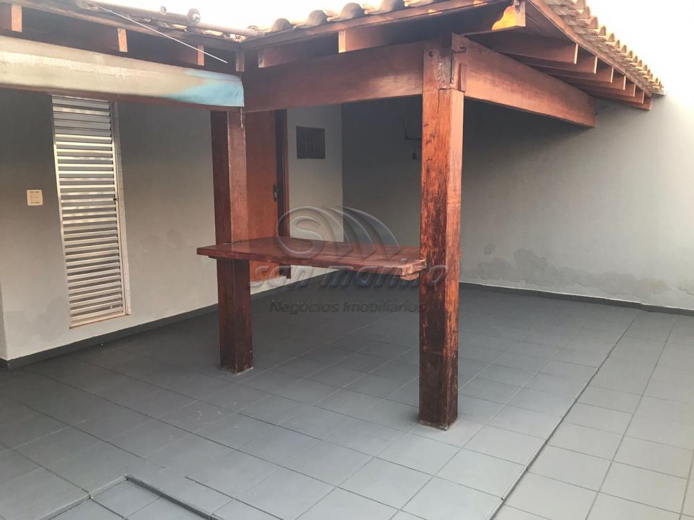 Casas / Padrão em Jaboticabal - foto 11