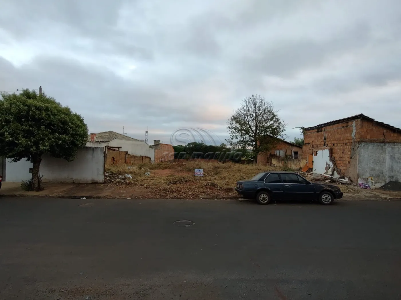 Terrenos / Misto em Jaboticabal - foto 0