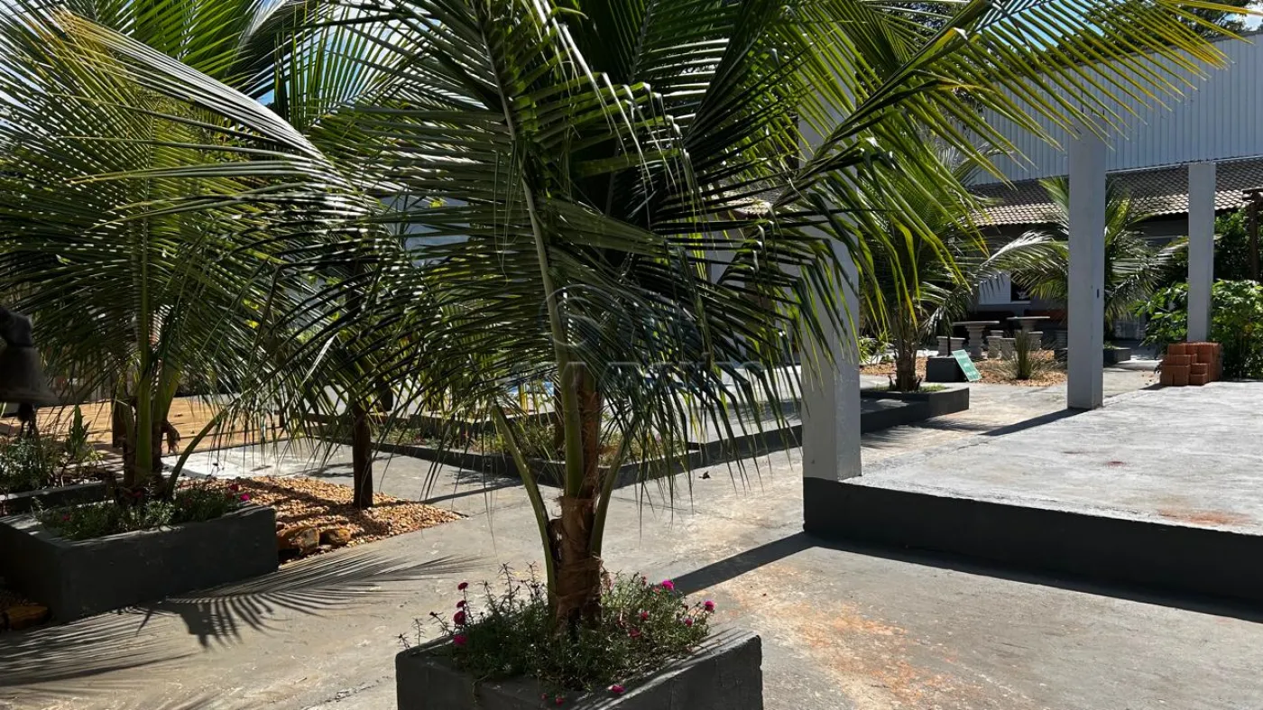 Casas / Edícula em Jaboticabal - foto 1