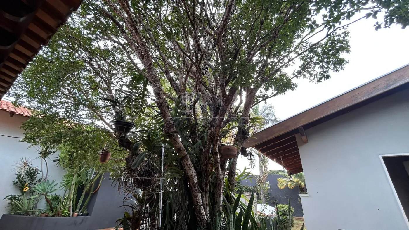 Casas / Edícula em Jaboticabal - foto 27