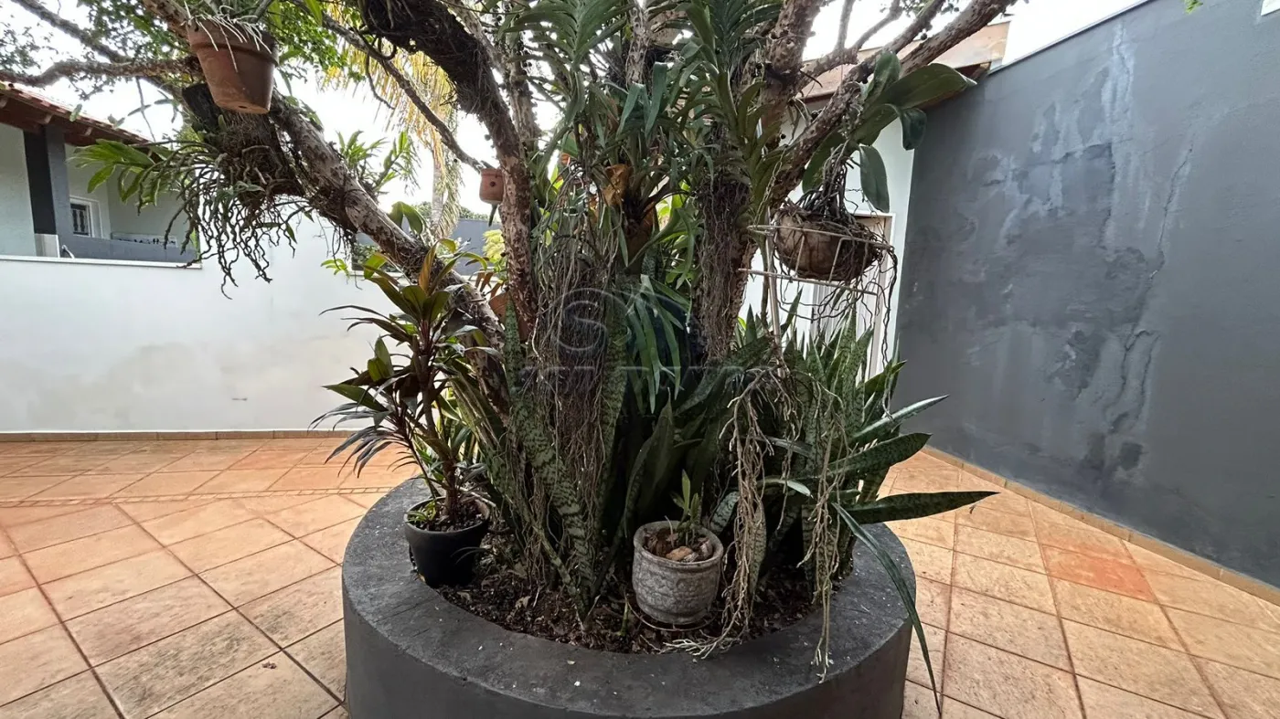 Casas / Edícula em Jaboticabal - foto 26