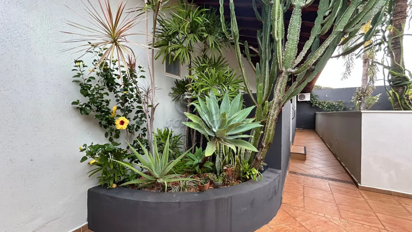 Casas / Edícula em Jaboticabal - foto 24