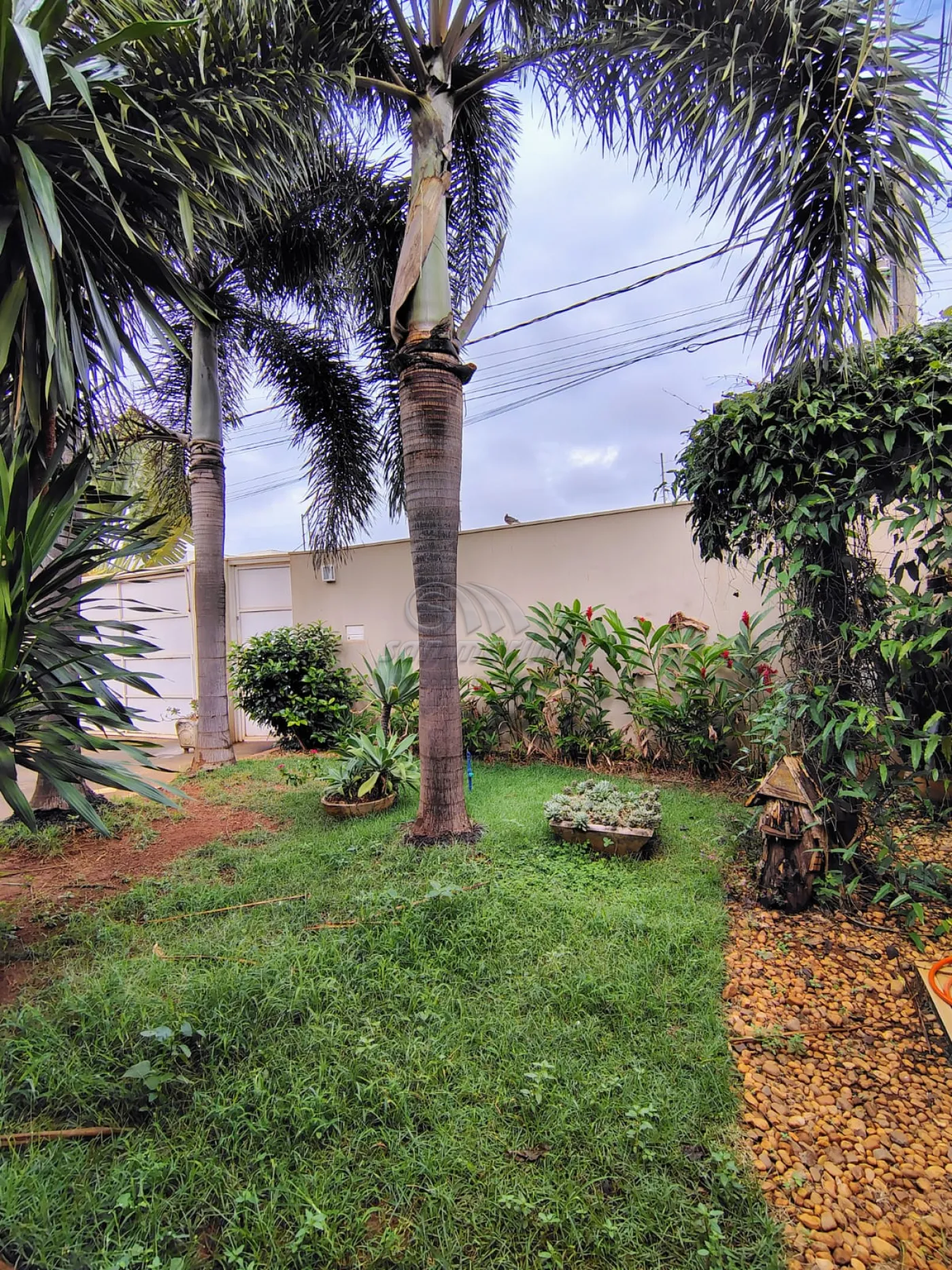 Casas / Padrão em Jaboticabal - foto 21