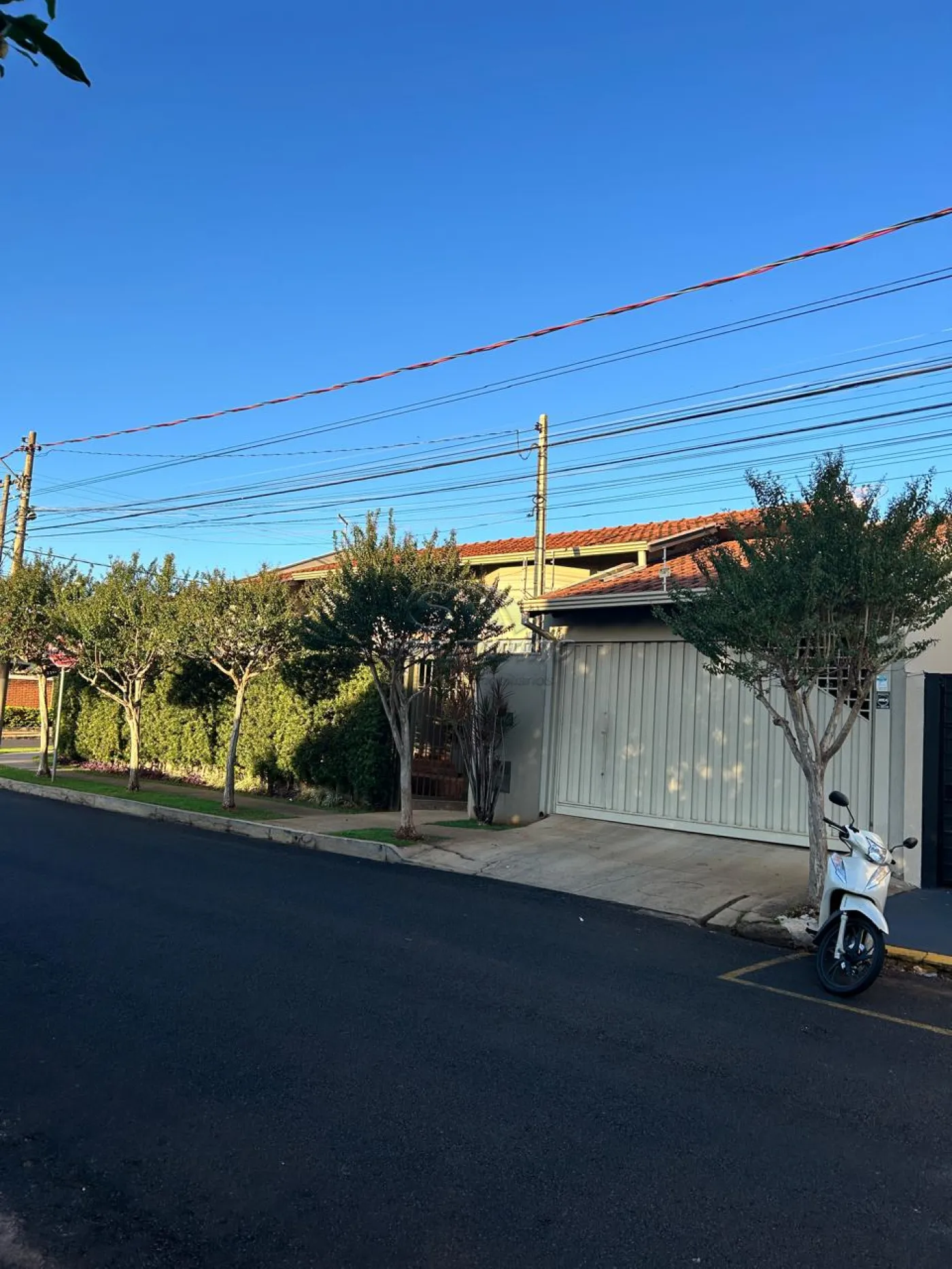 Casas / Padrão em Jaboticabal - foto 0