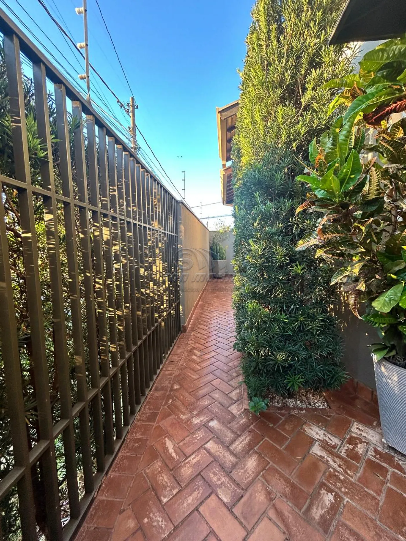 Casas / Padrão em Jaboticabal - foto 21