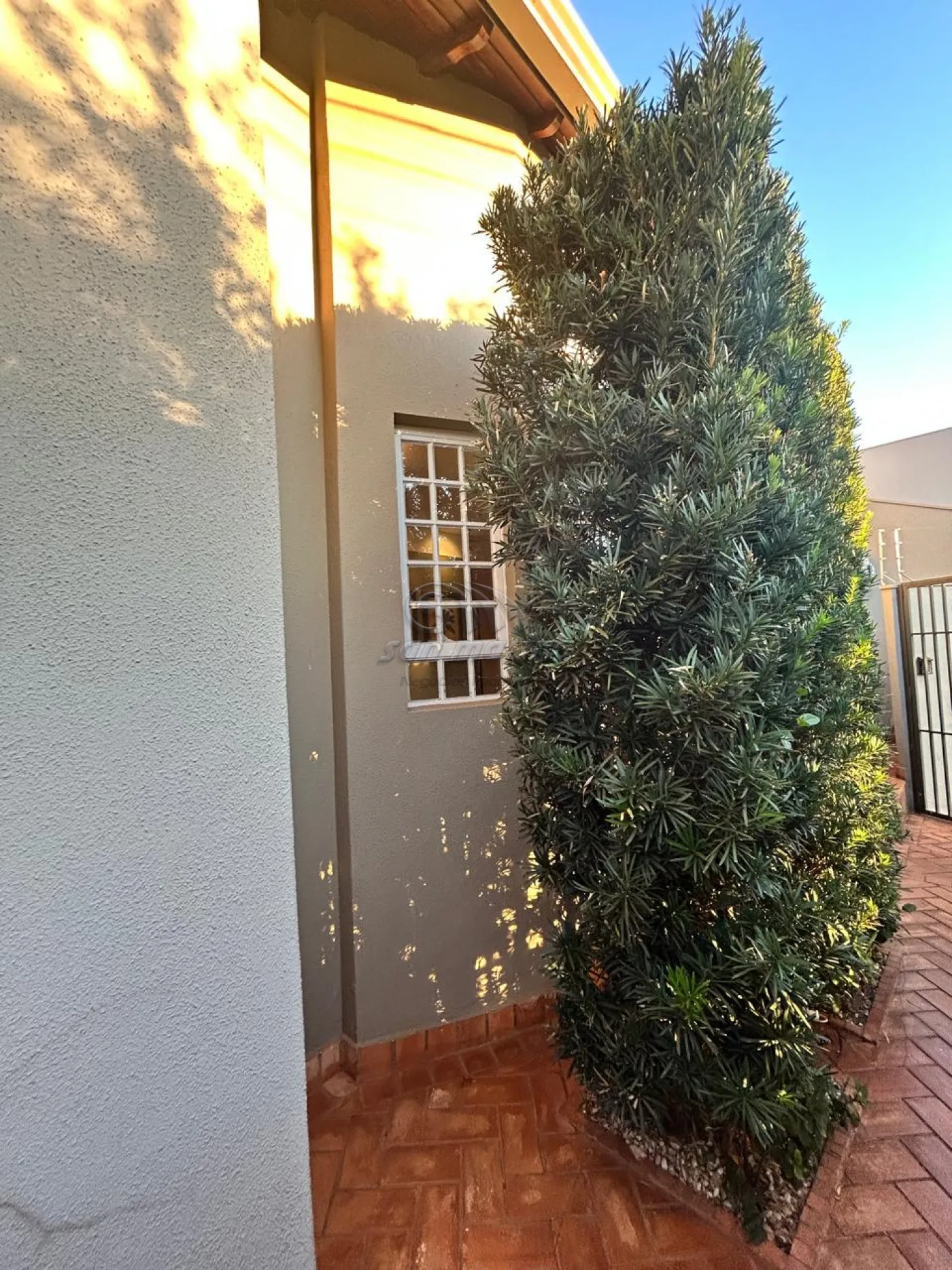 Casas / Padrão em Jaboticabal - foto 24