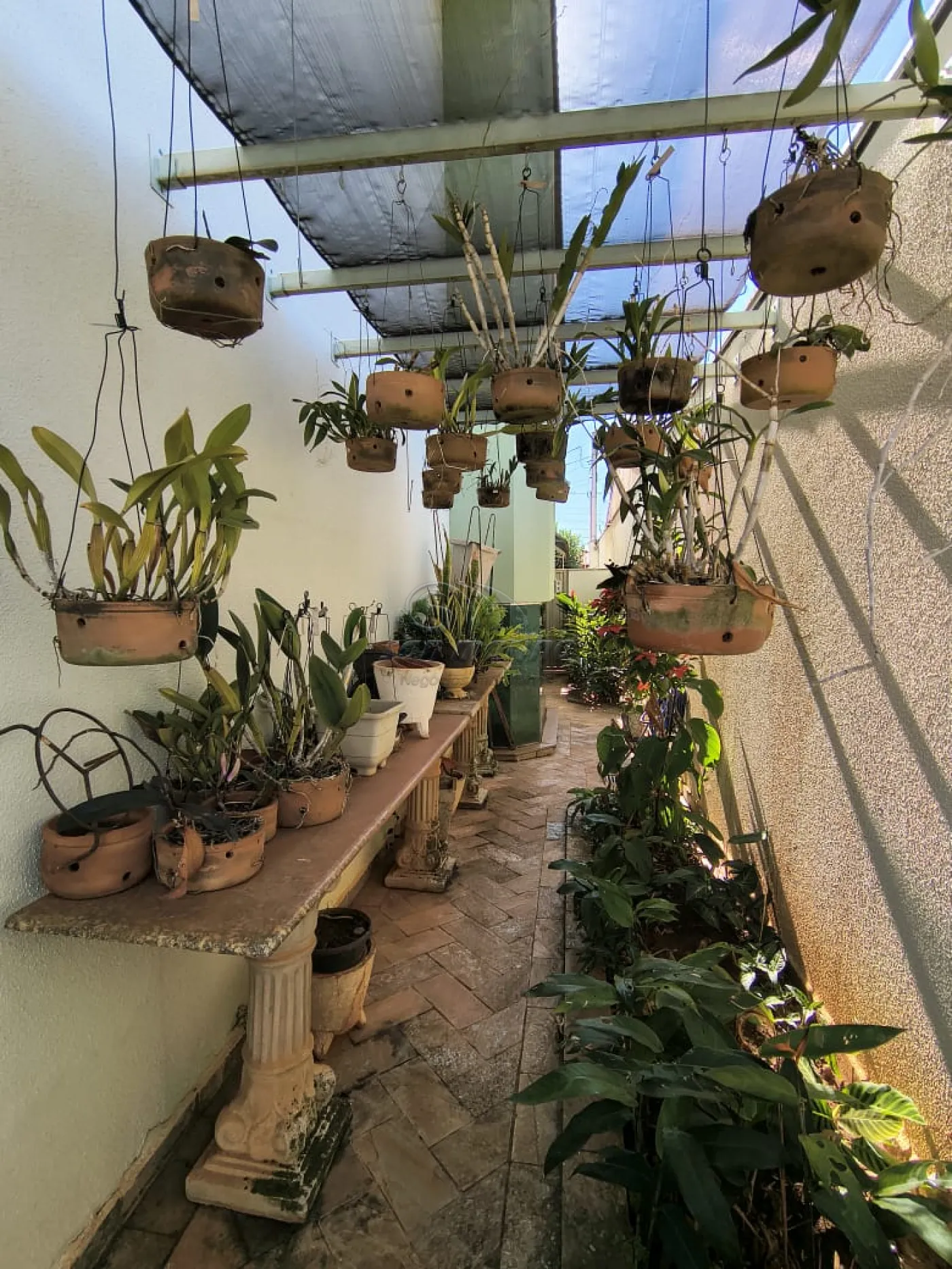 Casas / Sobrado em Jaboticabal - foto 43