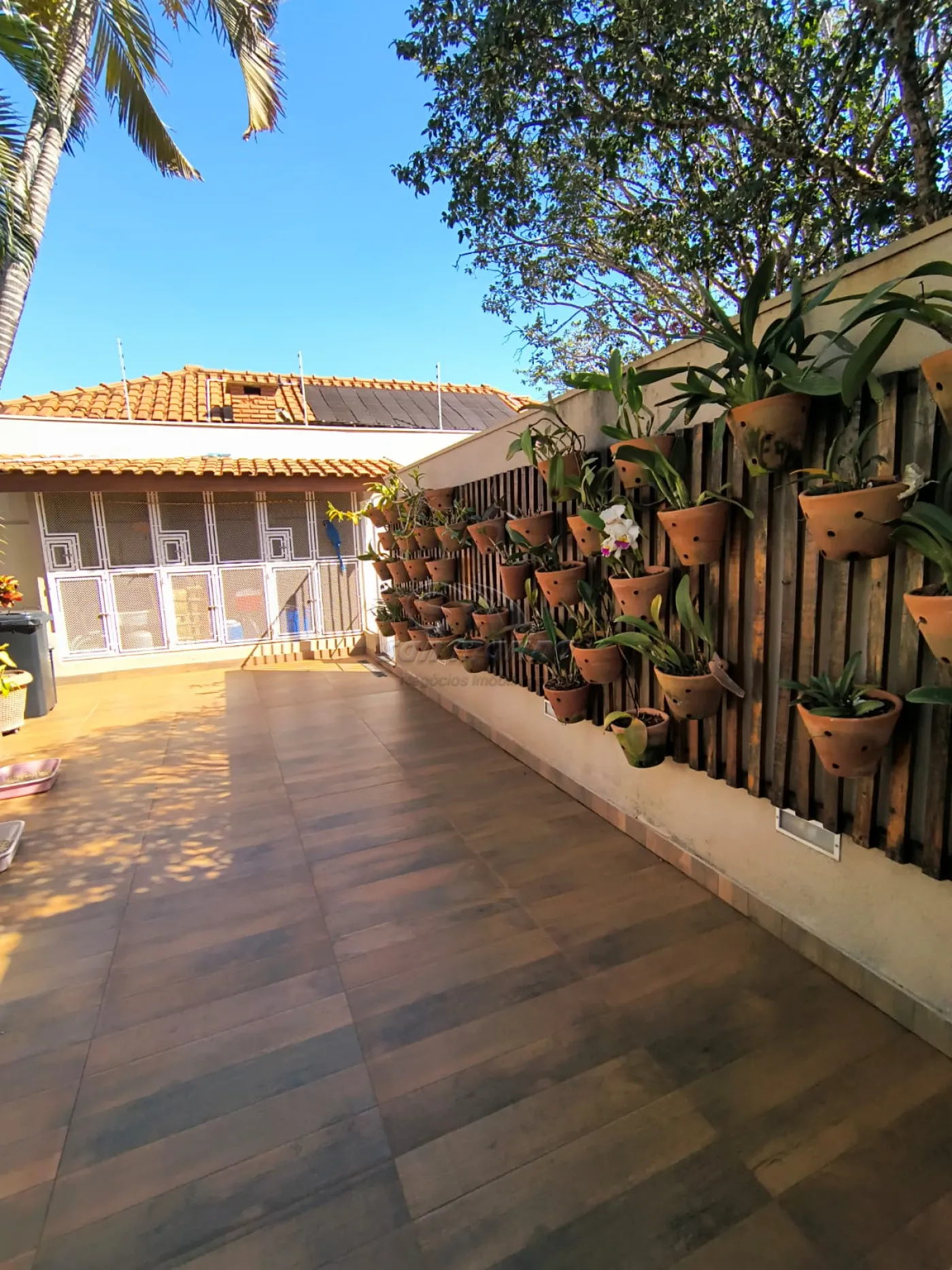 Casas / Padrão em Jaboticabal - foto 23