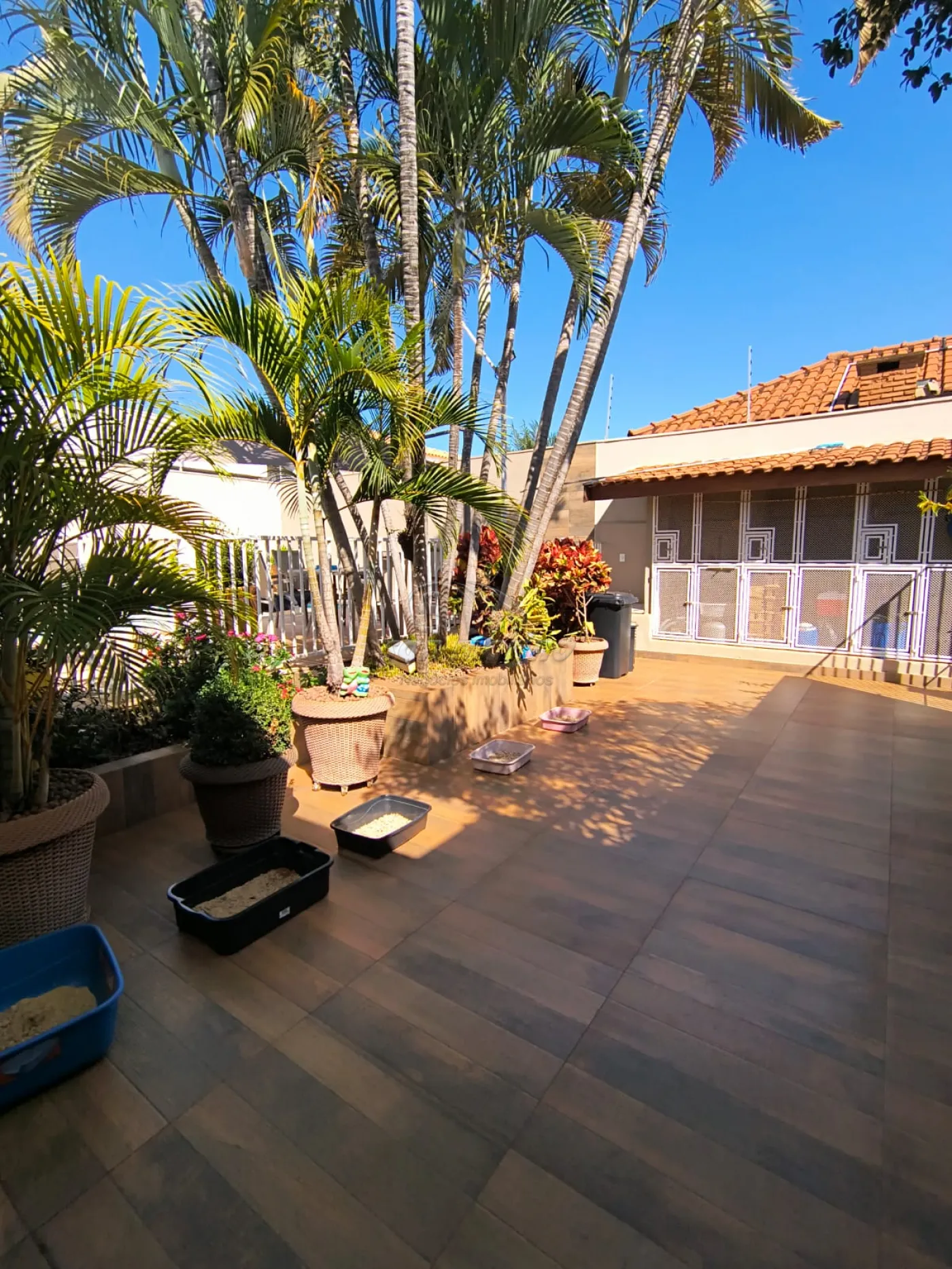 Casas / Padrão em Jaboticabal - foto 24