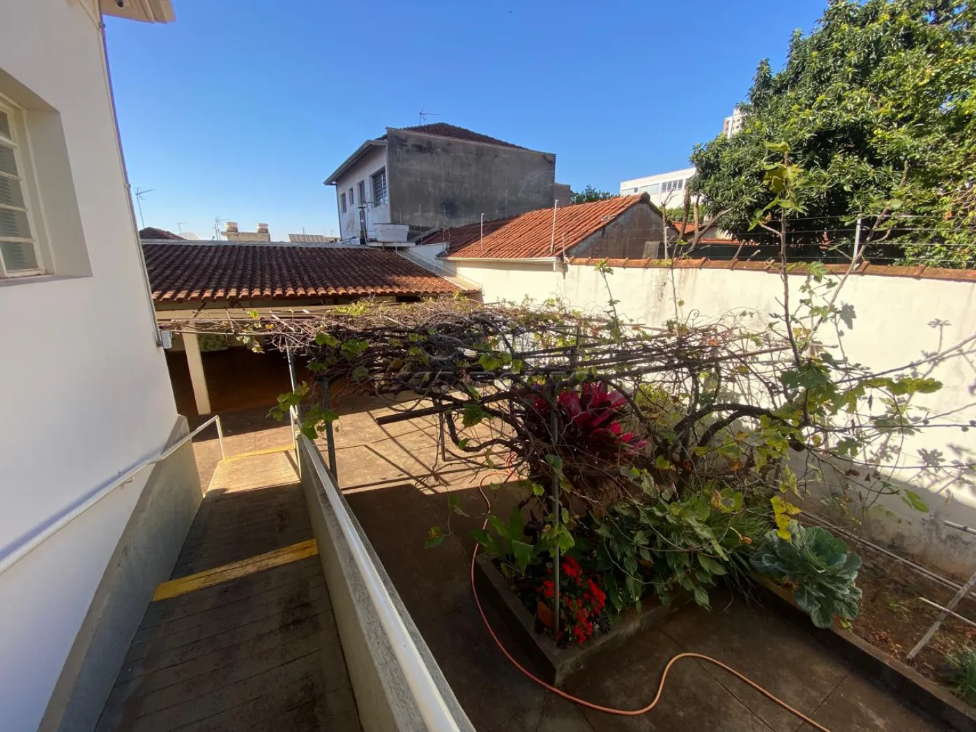 Casas / Padrão em Jaboticabal - foto 5