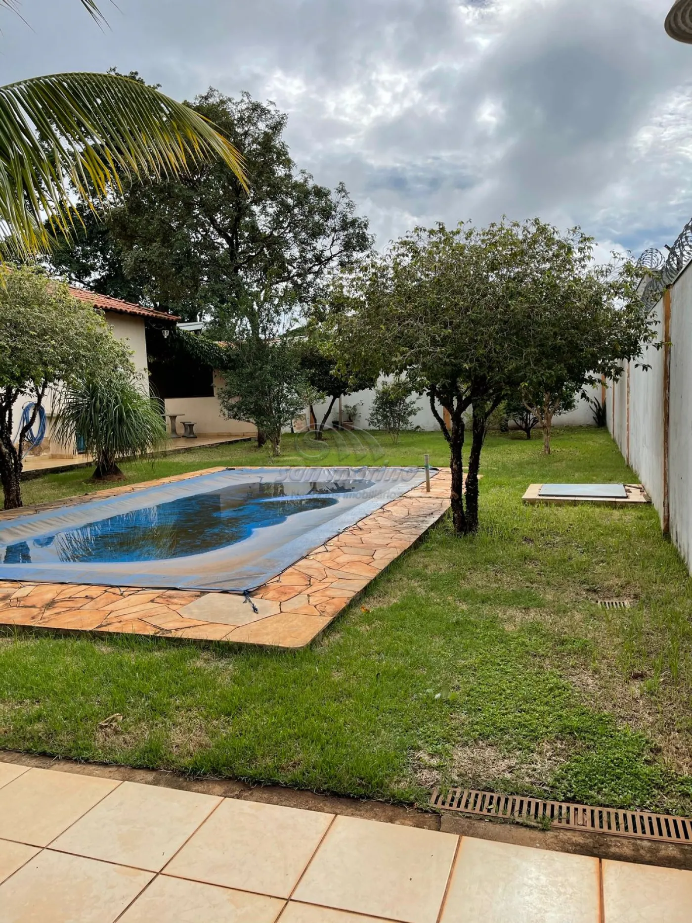 Casas / Padrão em Jaboticabal - foto 20