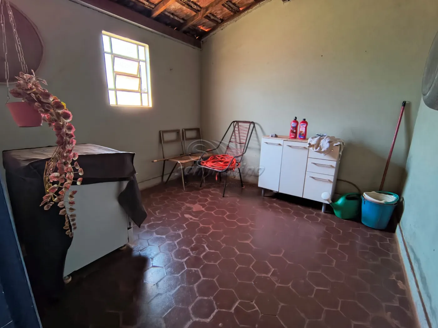 Casas / Padrão em Jaboticabal - foto 13