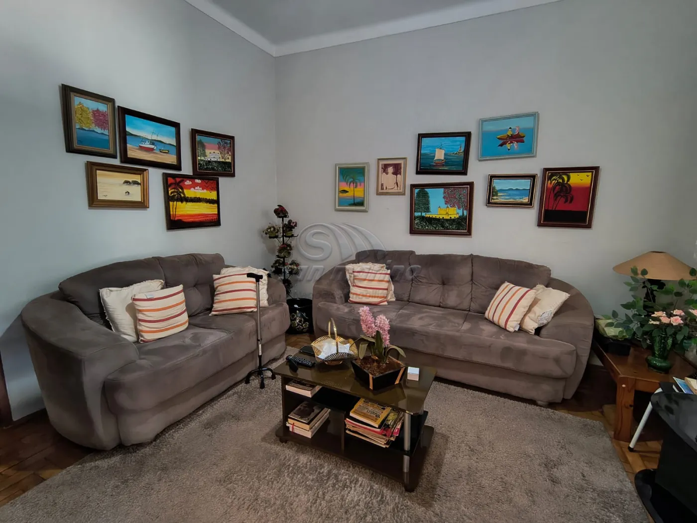 Casas / Padrão em Jaboticabal - foto 0