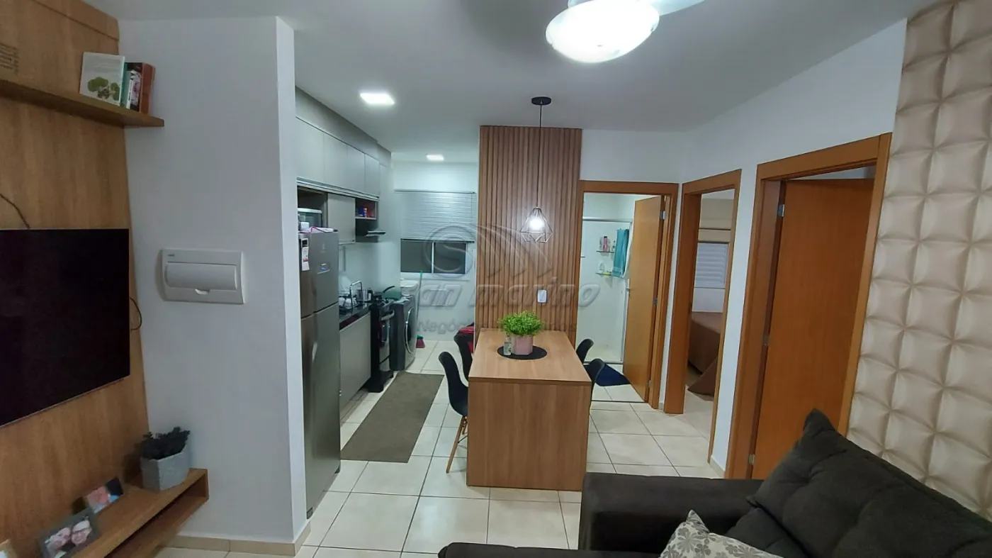 Apartamentos / Padrão em Jaboticabal - foto 5