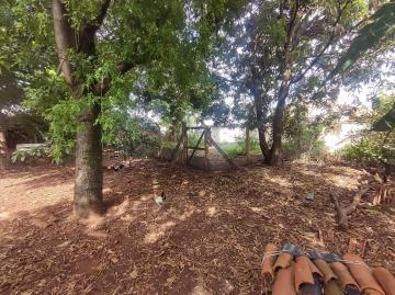 Casas / Padrão em Jaboticabal - foto 1