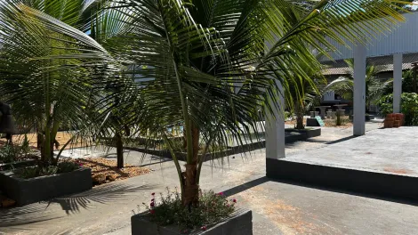 Casas / Edícula em Jaboticabal - foto 1