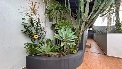 Casas / Edícula em Jaboticabal - foto 25