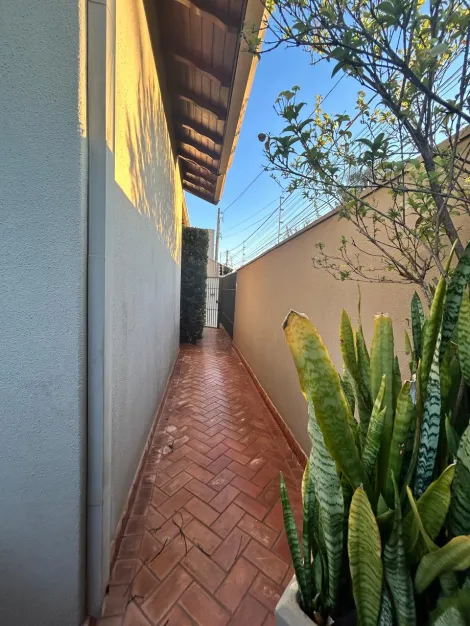 Casas / Padrão em Jaboticabal - foto 22