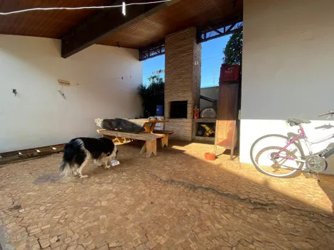 Casas / Padrão em Jaboticabal - foto 11