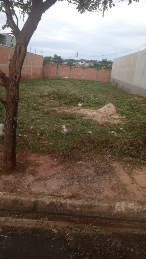 Terrenos / Residencial em Jaboticabal - foto 0