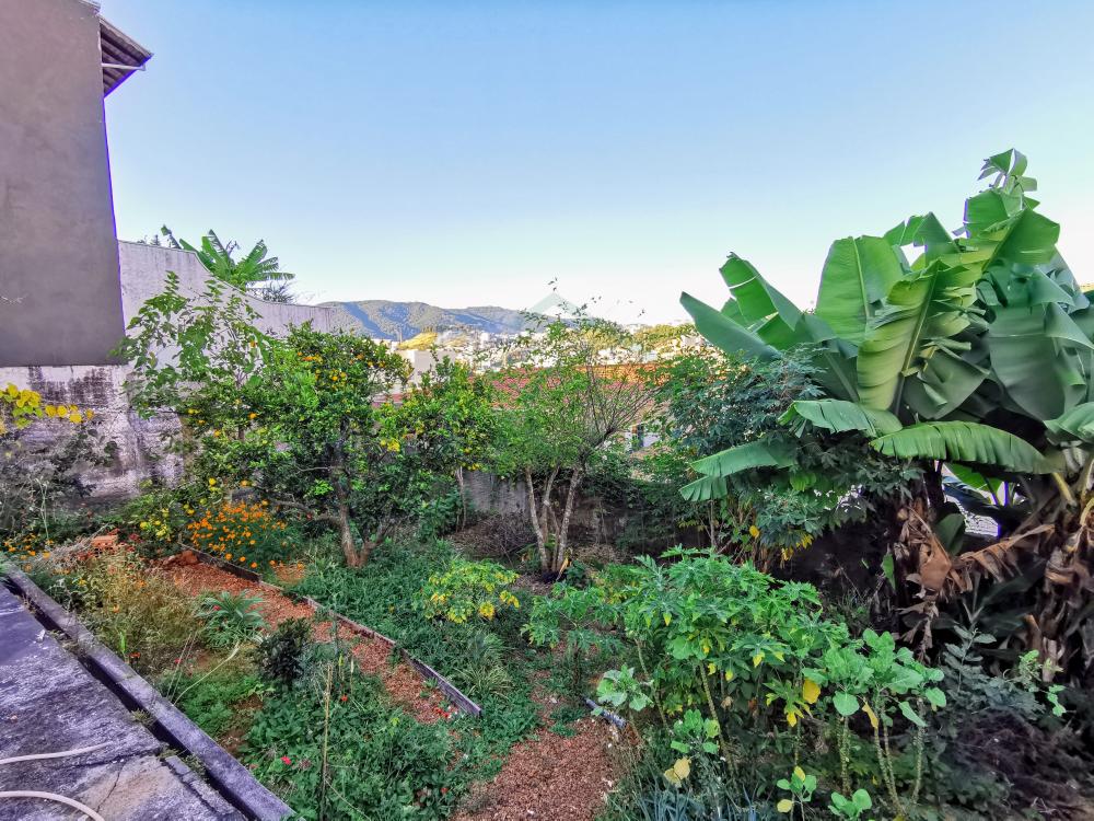 Casa, 4 quartos, 270 m² - Foto 34